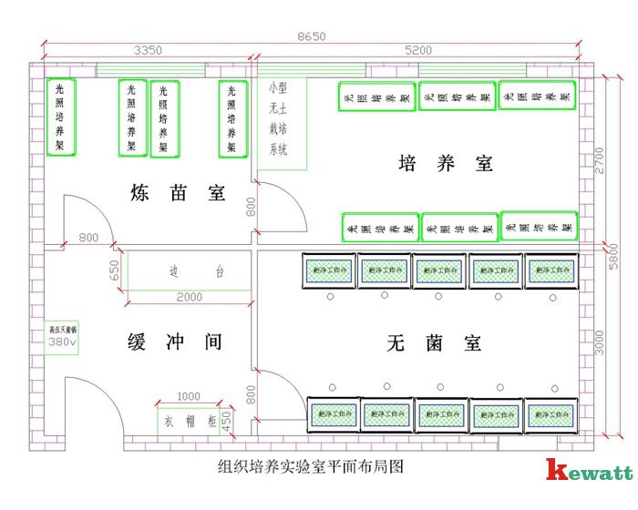 植物細胞實驗室平面設計圖
