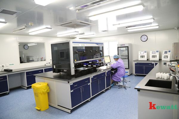 核酸篩查實驗?? 醫院血篩實驗室實際案例展示