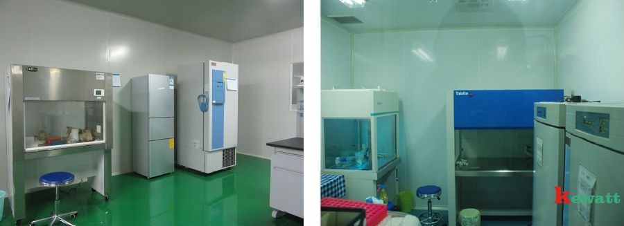 12.jpg 生物治療實驗室處理間展示