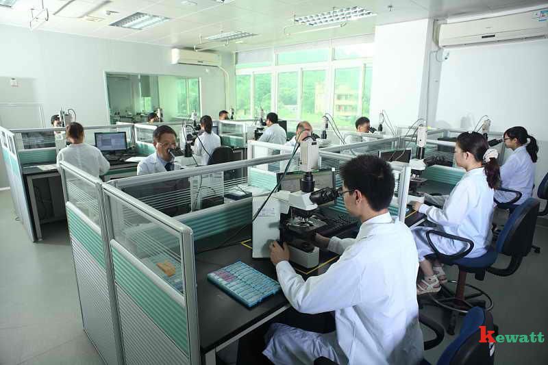 閱片-傳統(tǒng)病理.jpg 病理實(shí)驗(yàn)室-閱片區(qū)